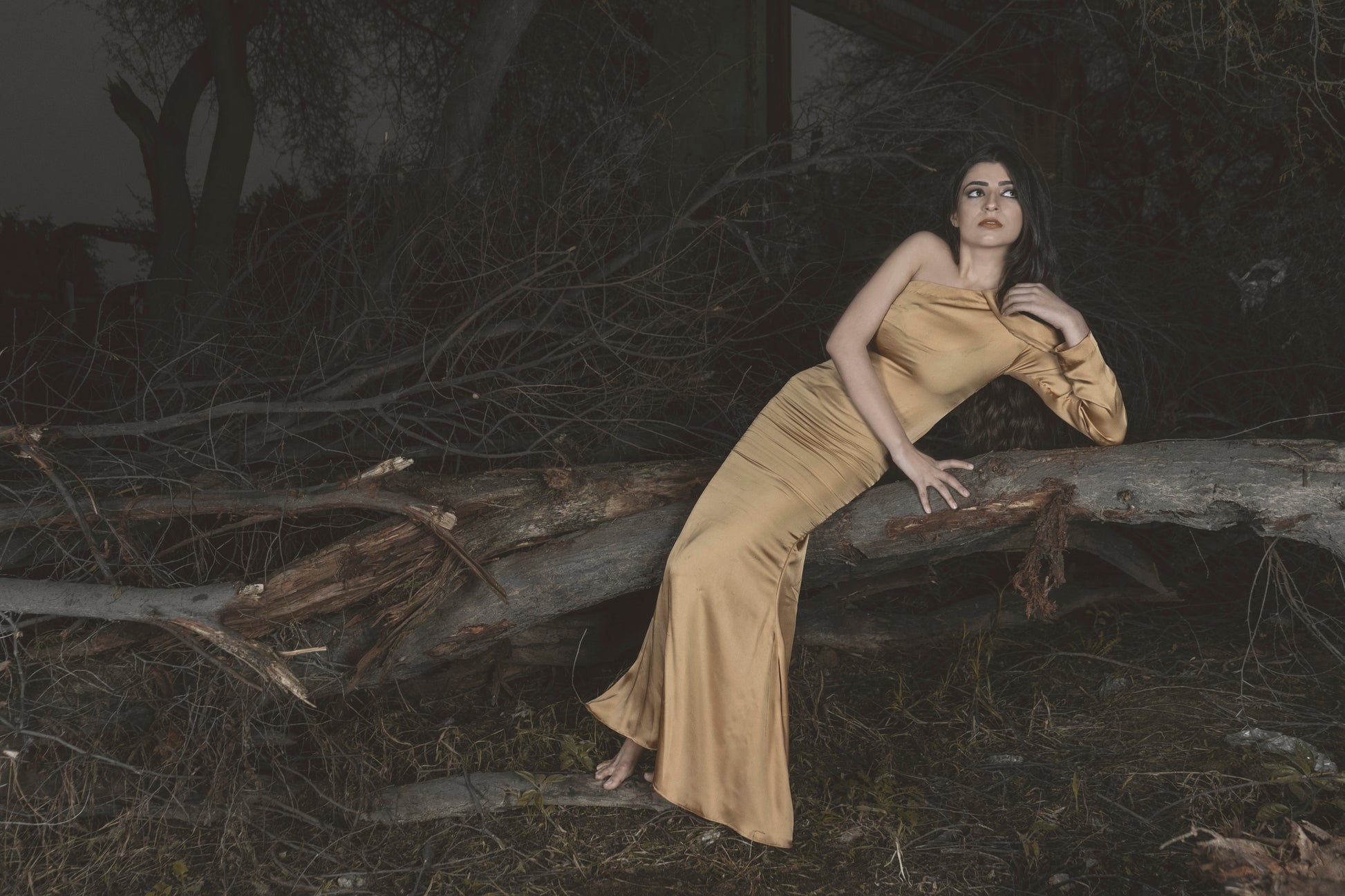 Golden Fish Maxi